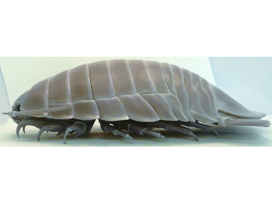 �l�C�`���[�e�N�j�J���[ �_�C�I�E�O�\�N���V