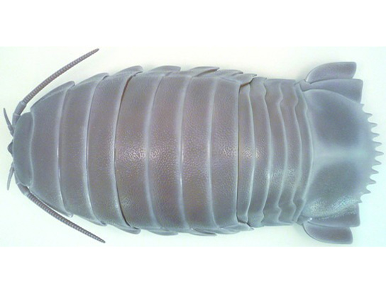 �l�C�`���[�e�N�j�J���[ �_�C�I�E�O�\�N���V