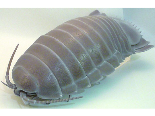 �l�C�`���[�e�N�j�J���[ �_�C�I�E�O�\�N���V �̐��i�摜