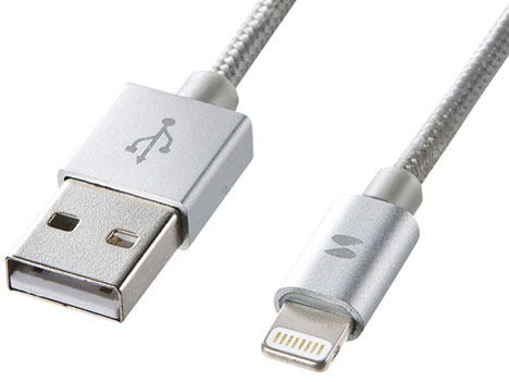 KB-IPLTNM10KSV [�V���o�[] �̐��i�摜