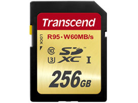TS256GSDU3 [256GB] �̐��i�摜