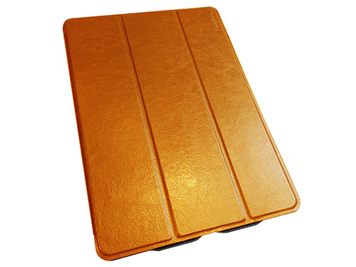 TR-FSIPD14-CM [Camel]