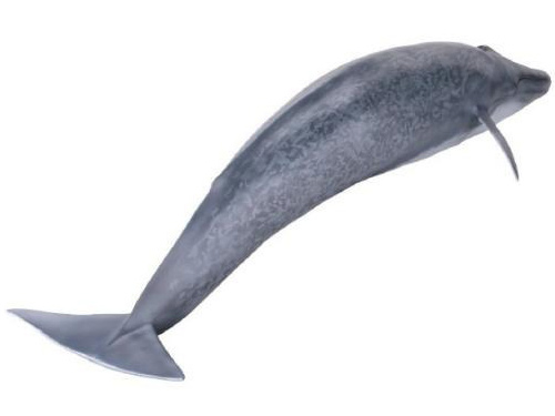 ���K�\�t�r�A�h�o���X MSA-04 �V���i�K�X�N�W��