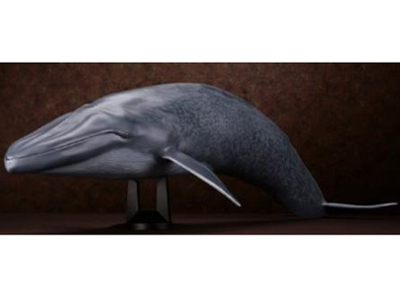 ���K�\�t�r�A�h�o���X MSA-04 �V���i�K�X�N�W��