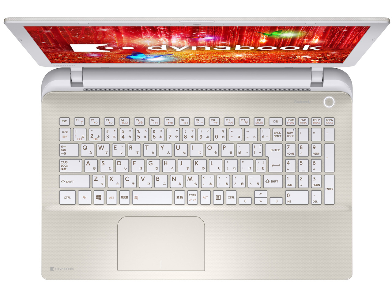 dynabook T65 T65/PG PT65PGP-SHA [�T�e���S�[���h]