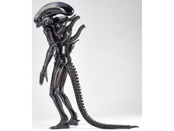 ���K�\�t�r�A�h�o���X MSA-05 �G�C���A��