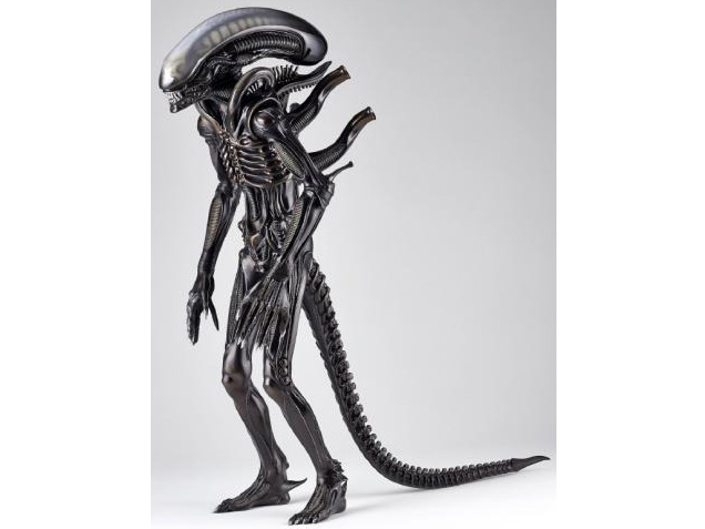 ���K�\�t�r�A�h�o���X MSA-05 �G�C���A��