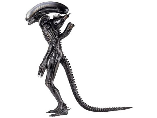 ���K�\�t�r�A�h�o���X MSA-05 �G�C���A�� �̐��i�摜