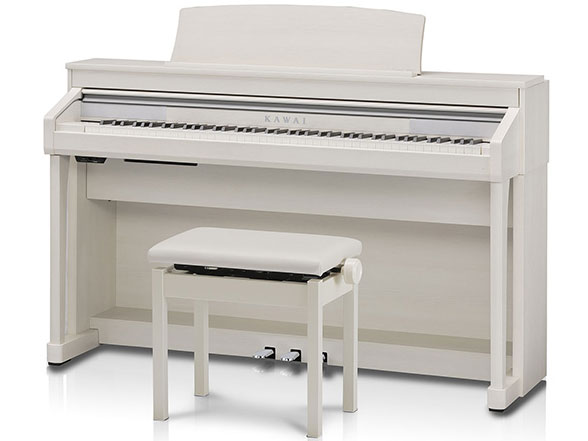 Concert Artist CA67A [�v���~�A���z���C�g���[�v����] �̐��i�摜