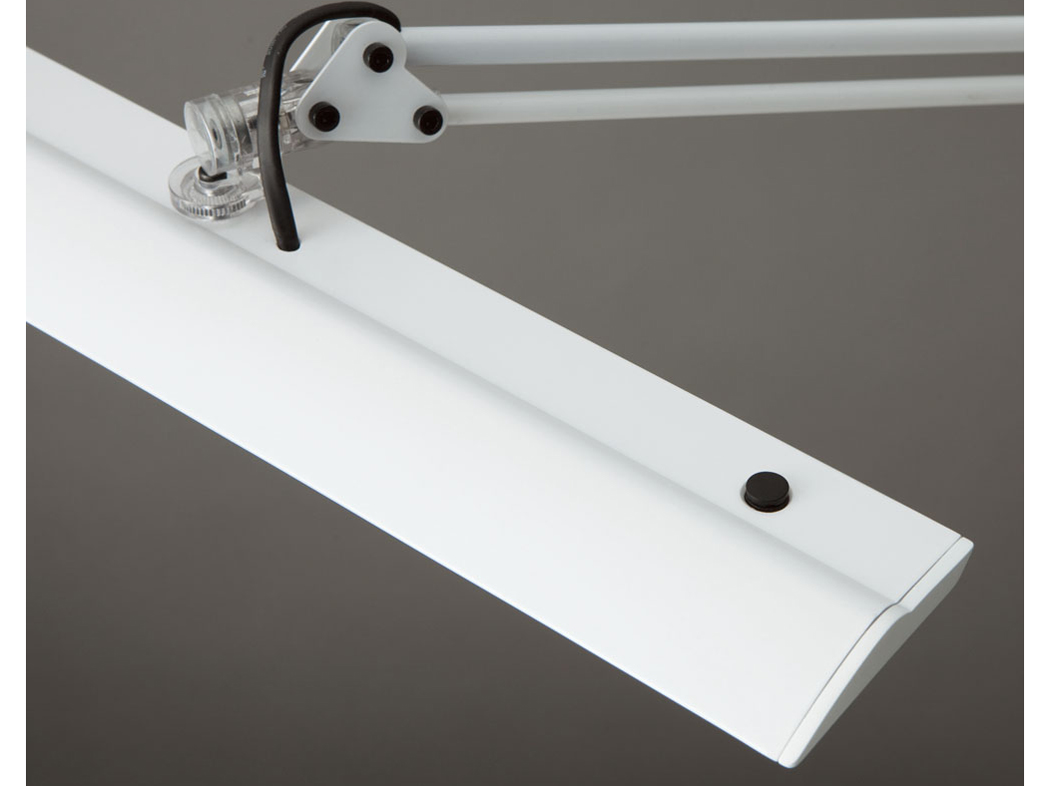 �w�{�� �����A�b�v1�x Z-LIGHT Z-10W [�z���C�g] �̐��i�摜