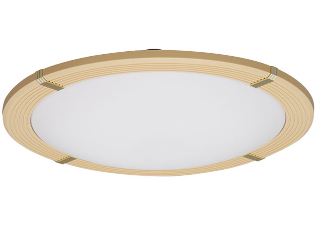 ECOHiLUX CL14DL-WF1-T [�u���E��] �̐��i�摜