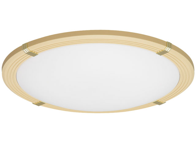 ECOHiLUX CL12DL-WF1-T [�u���E��] �̐��i�摜