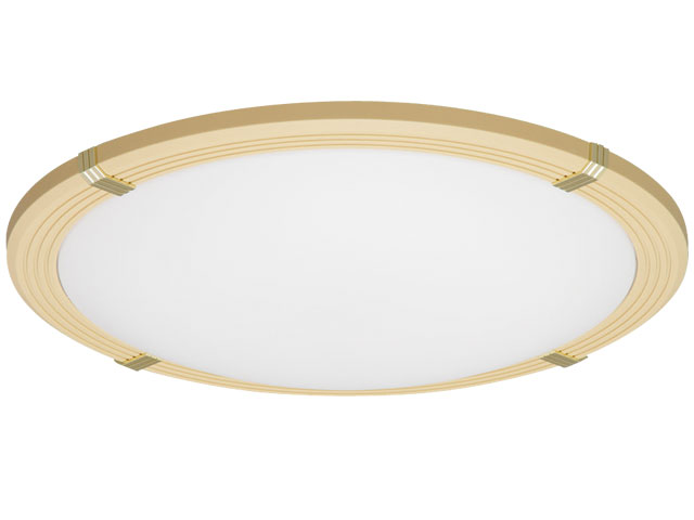 ECOHiLUX CL12D-WF1-T [�u���E��] �̐��i�摜