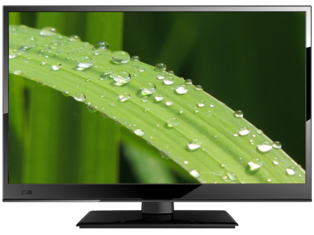 LC1995 [19�C���`] �̐��i�摜