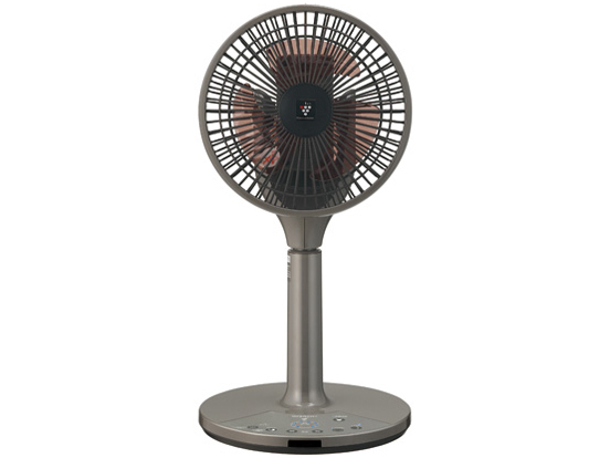 PJ-E2DS-T [�u���E���n]