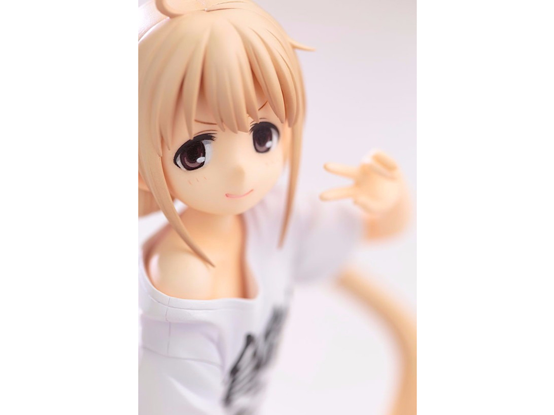 �A�C�h���}�X�^�[ �V���f�����K�[���Y �o�t��