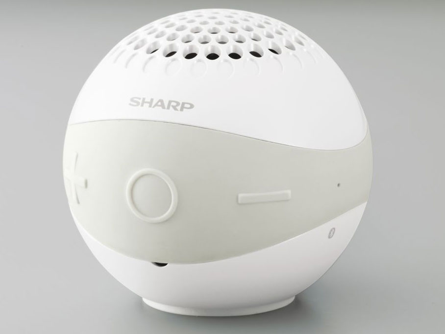 WS-BL1 [�z���C�g] �̐��i�摜