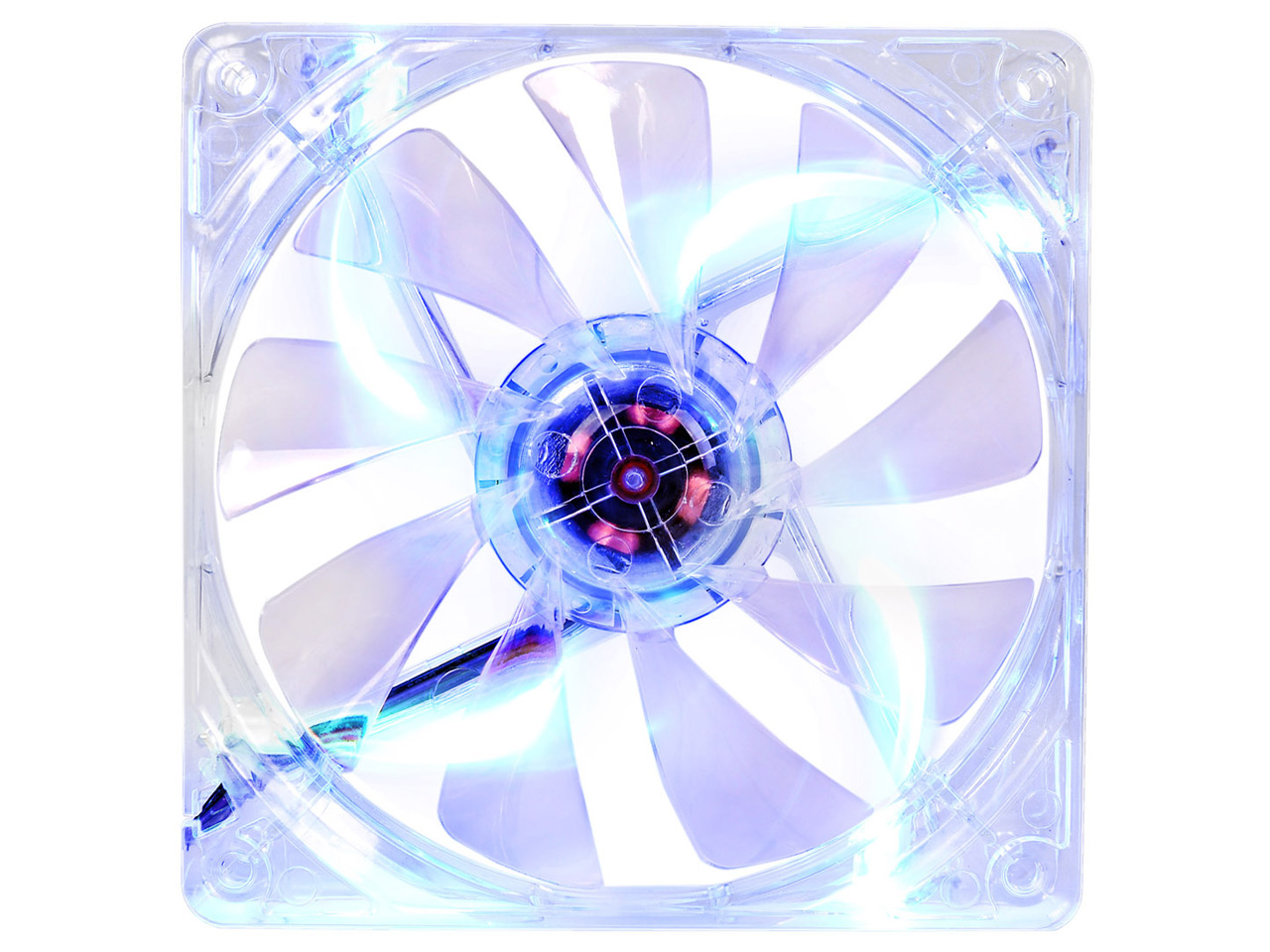 Pure 12 LED Blue CL-F012-PL12BU-A [�u���[] �̐��i�摜