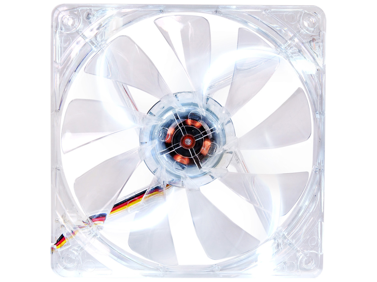 Pure 12 LED White CL-F020-PL12WT-A [�z���C�g] �̐��i�摜