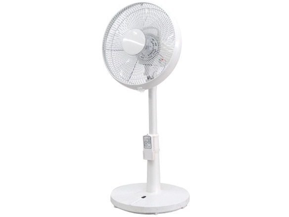 FLE-DC300 �̐��i�摜