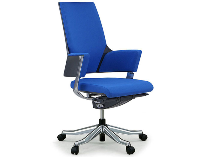 Delphi Fabric Middle Type [���C�����u���[]