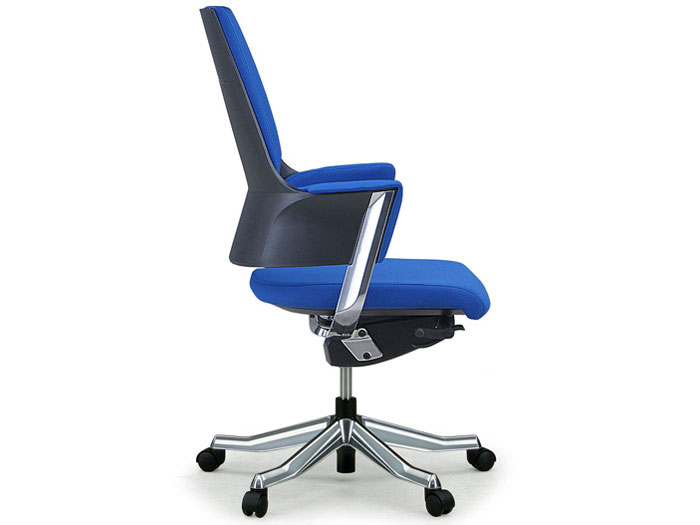 Delphi Fabric Middle Type [���C�����u���[]