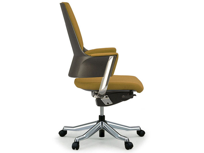 Delphi Fabric Middle Type [�J�[�L]