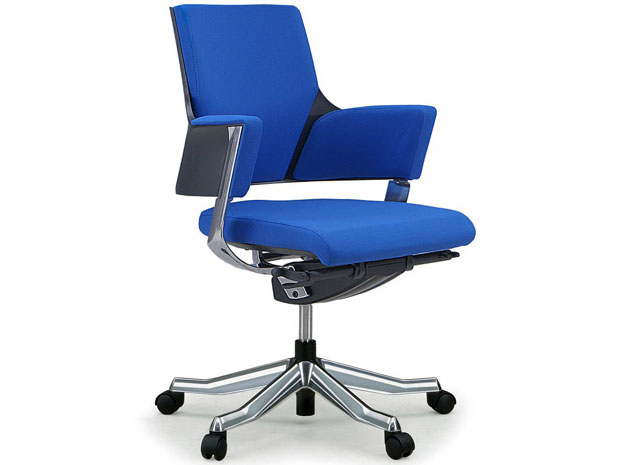 Delphi Fabric Low Type [���C�����u���[]