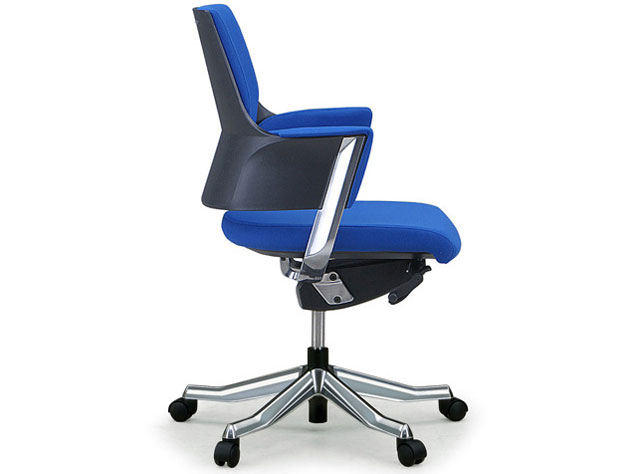 Delphi Fabric Low Type [���C�����u���[]