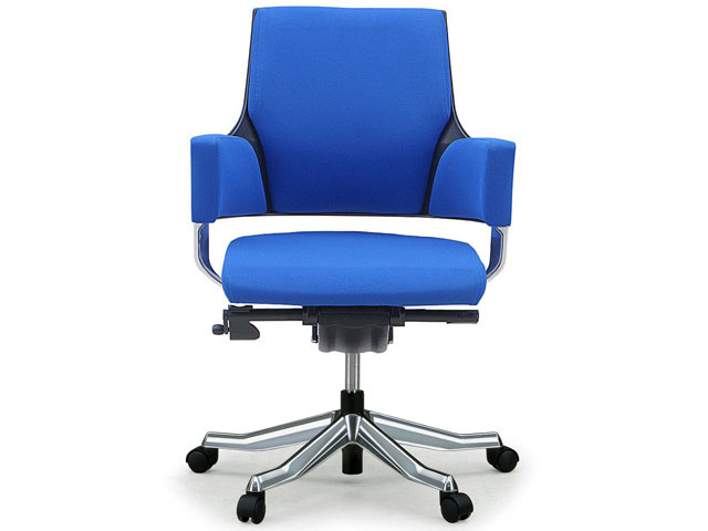 Delphi Fabric Low Type [���C�����u���[] �̐��i�摜