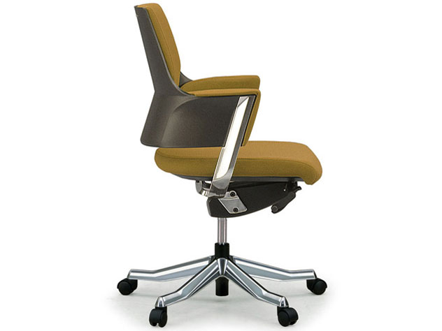 Delphi Fabric Low Type [�J�[�L]