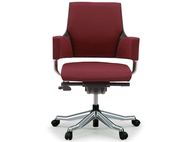 Delphi Fabric Low Type [�o�[�K���f�B�[] �̐��i�摜