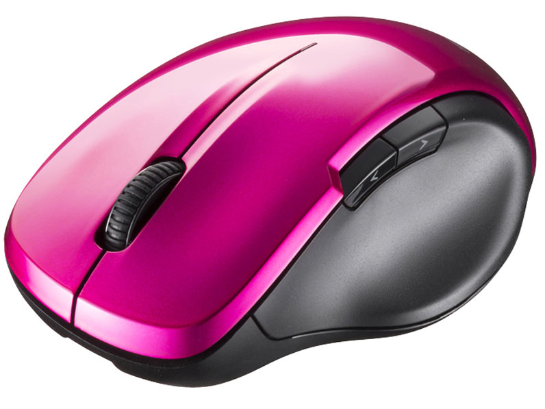 BSMBW29SPK [�s���N]