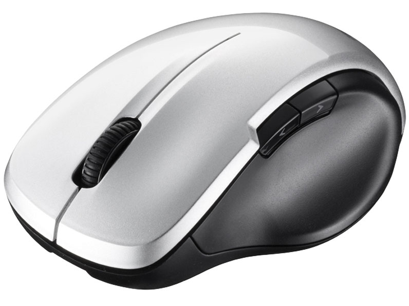 BSMBW29SSV [�V���o�[]