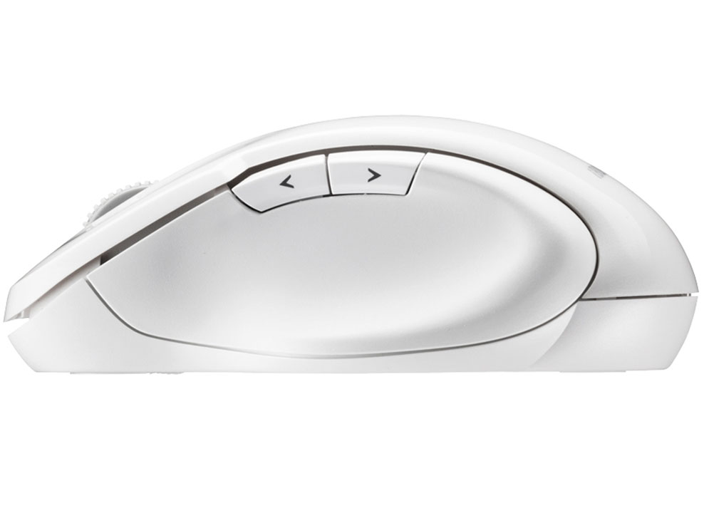 BSMBW29SWH [�z���C�g]