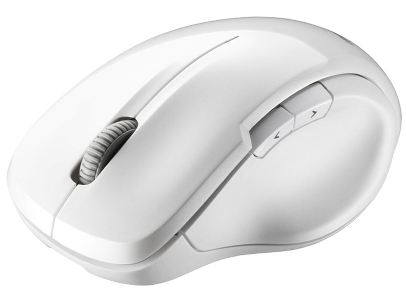 BSMBW29SWH [�z���C�g]