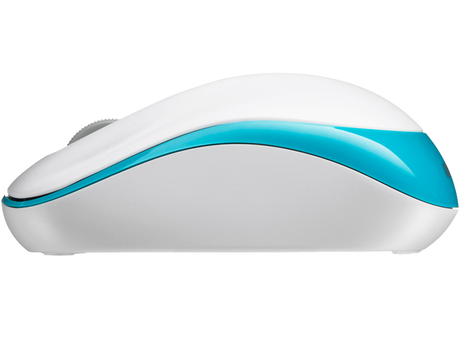 BSMOW20SWB [�z���C�g�u���[]