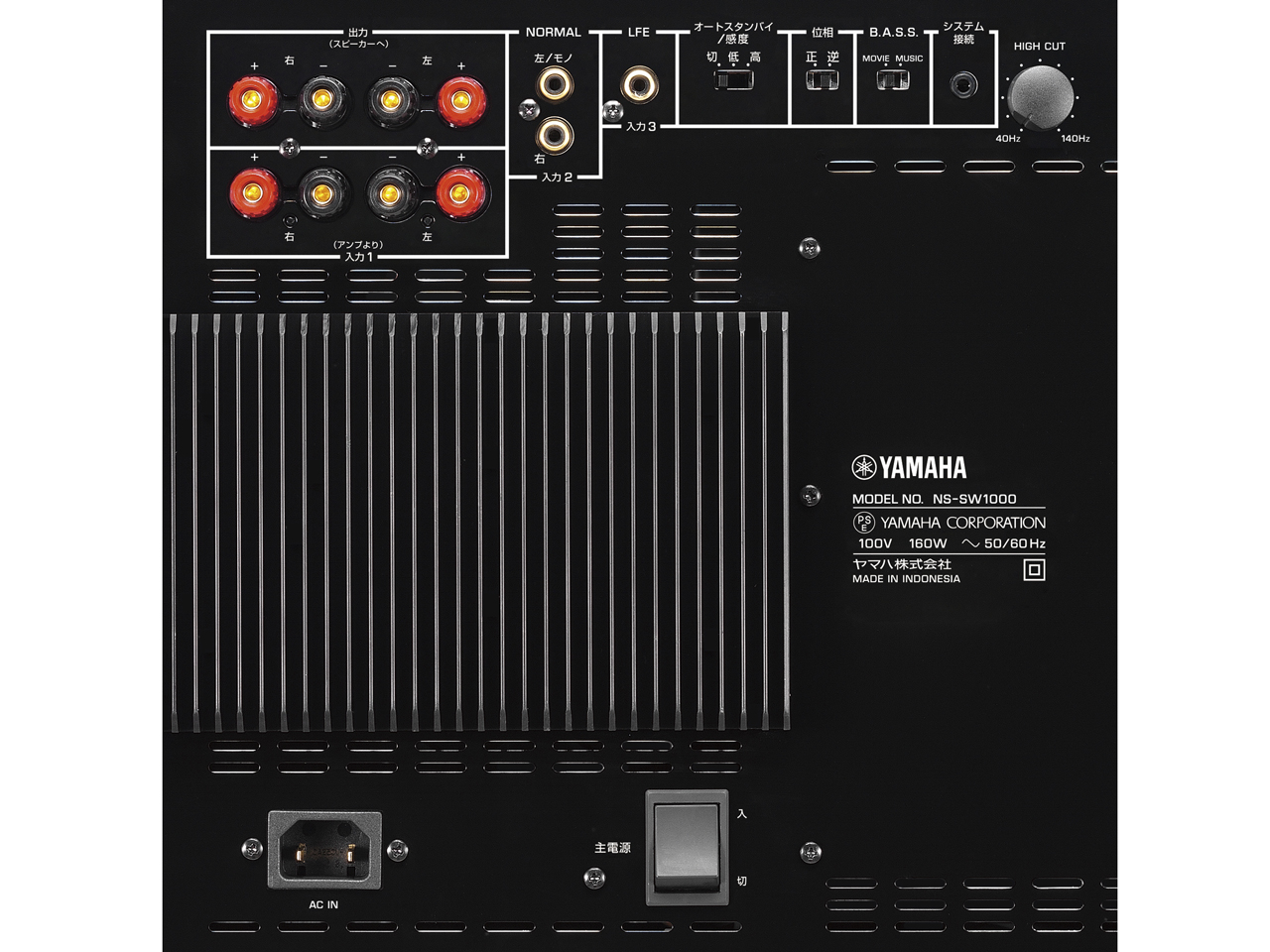 NS-SW1000 [�P�i]