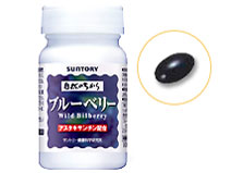 �T���g���[ �u���[�x���[ 90�� �̐��i�摜