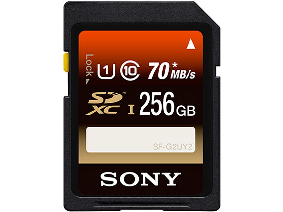 SF-256UY2 [256GB] �̐��i�摜