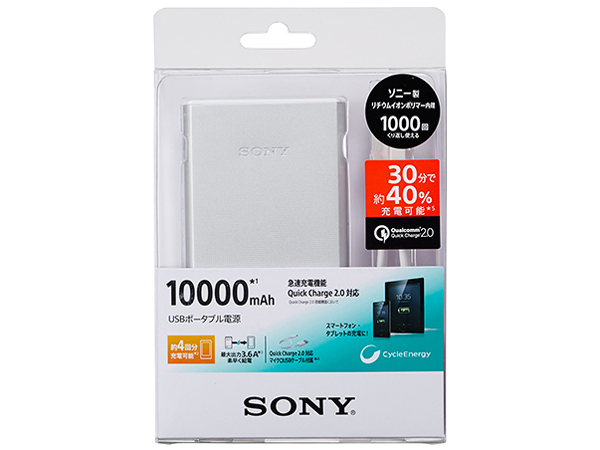 �T�C�N���G�i�W�[ CP-R10