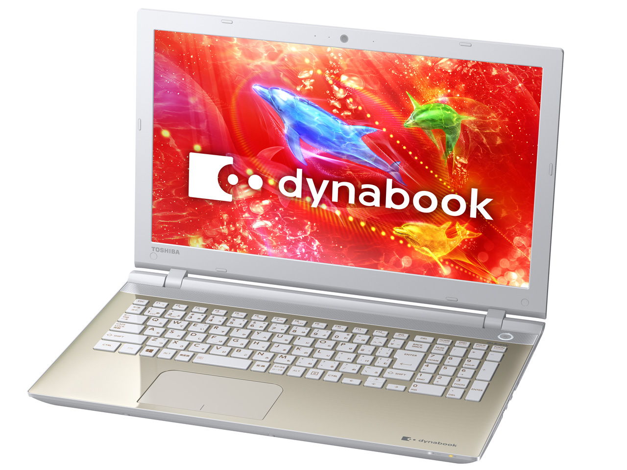 dynabook EX/35RG PTEX-35RSPG [�T�e���S�[���h]