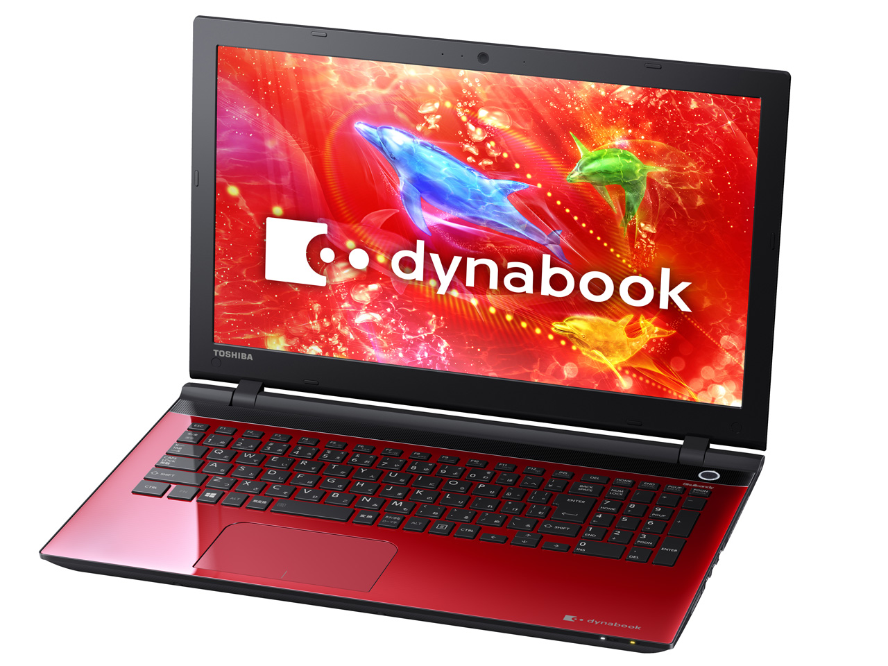 dynabook EX/35RR PTEX-35RSPR [���f�i���b�h]