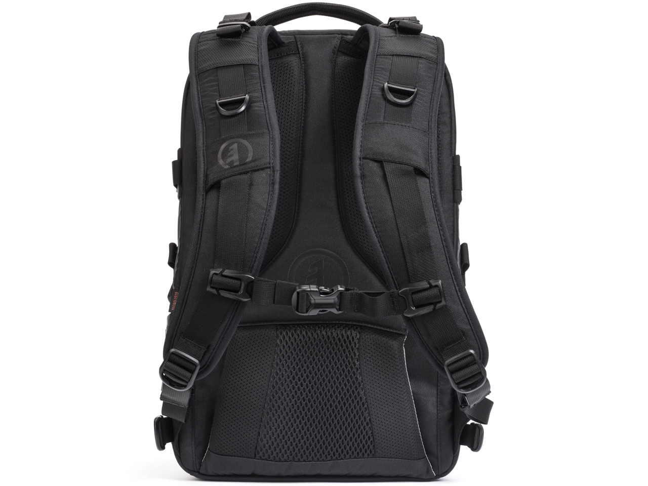 �A���r�� 23