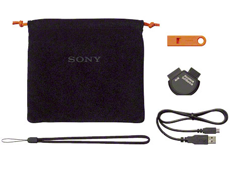 ICF-B09 (D) [�I�����W]