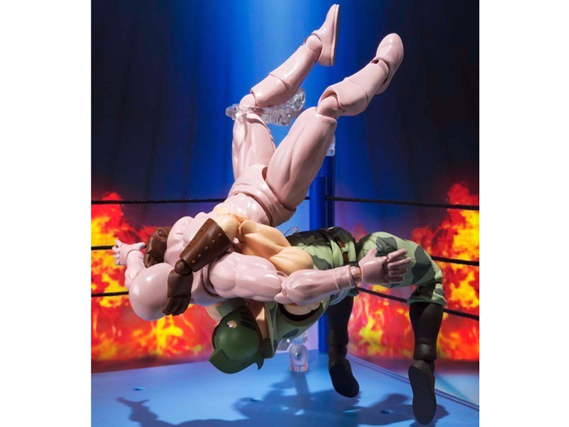 S.H.�t�B�M���A�[�c �L�����}���\���W���[