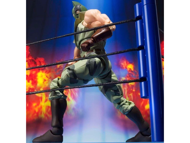 S.H.�t�B�M���A�[�c �L�����}���\���W���[