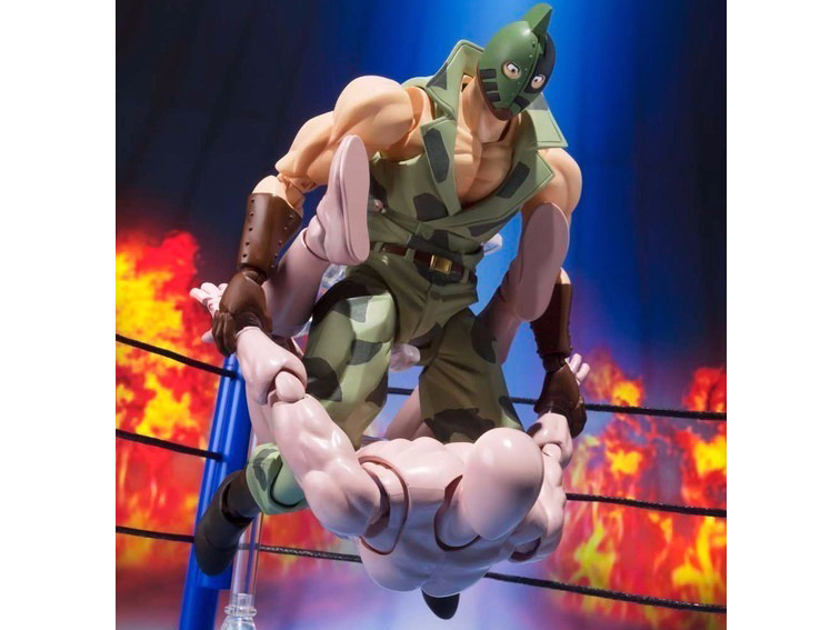 S.H.�t�B�M���A�[�c �L�����}���\���W���[