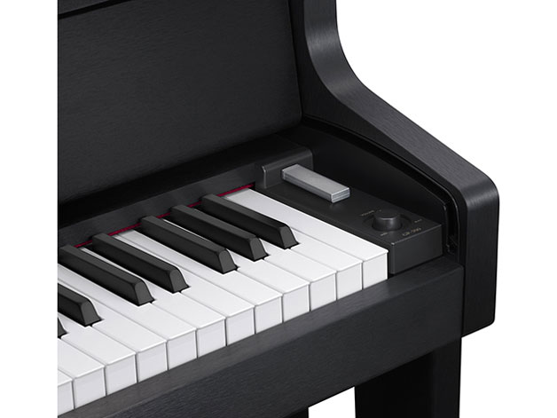 CELVIANO Grand Hybrid GP-300BK [�u���b�N�E�b�h��]