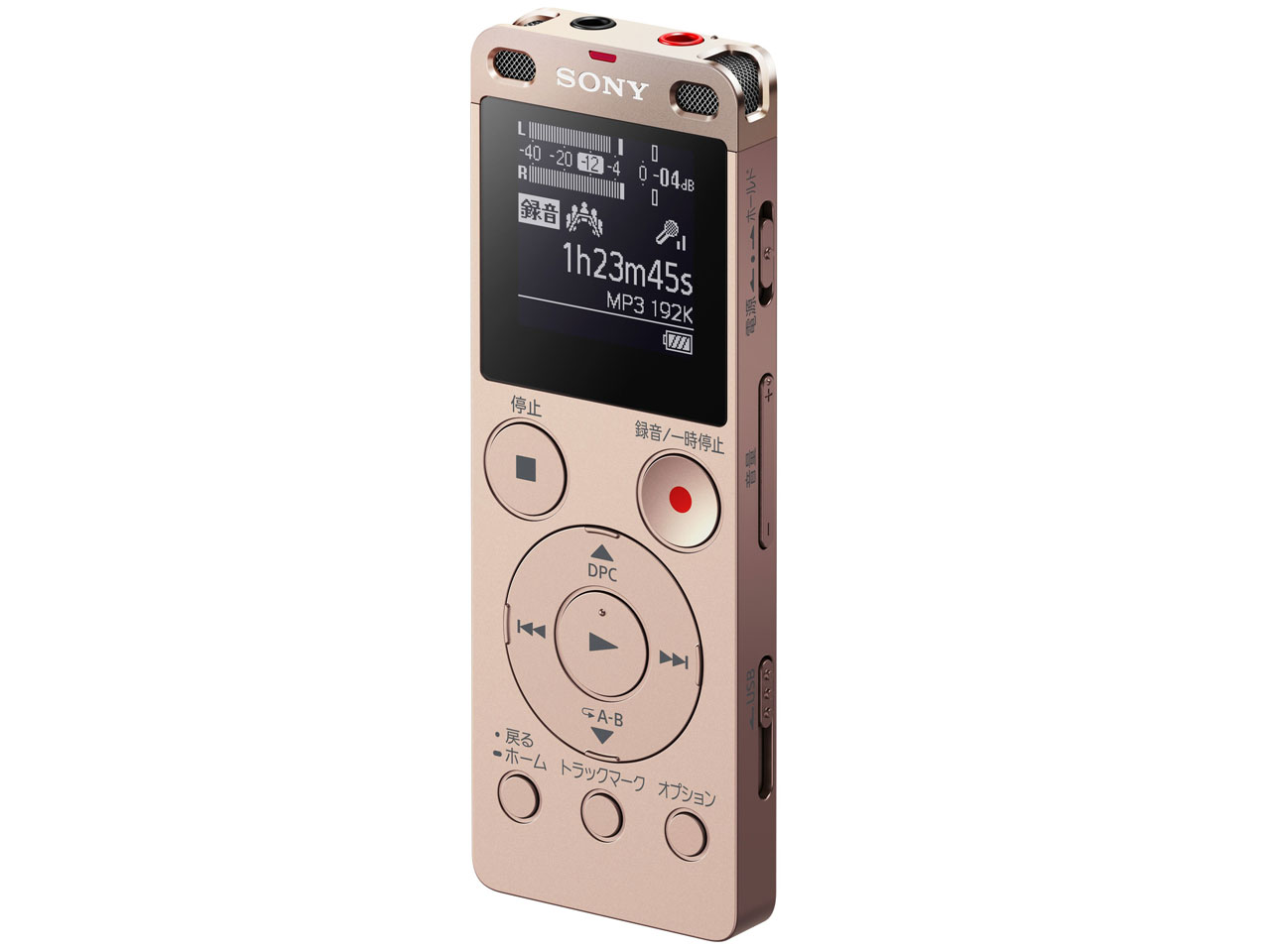 ICD-UX560F (N) [�S�[���h]